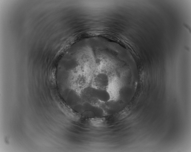 X0000099410373200805231610