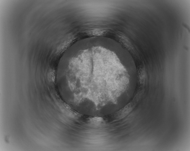 X0000099410374200805231610