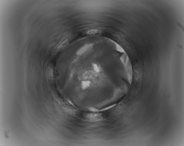 X0000099410375200805231610