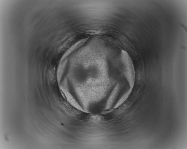 X0000099410376200805231610