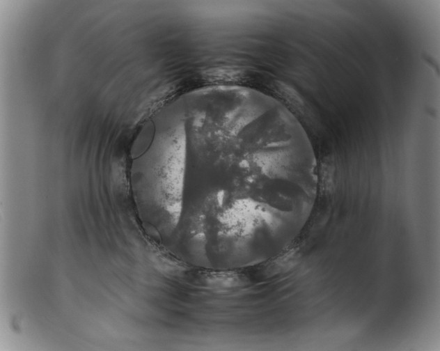 X0000099410377200805231610