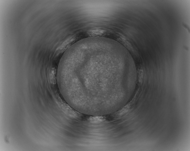 X0000099410378200805231610