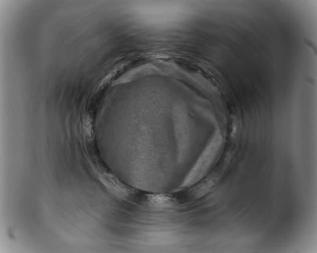 X0000099410380200805231610