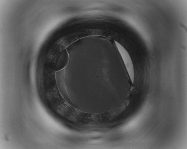 X0000099410383200805231610