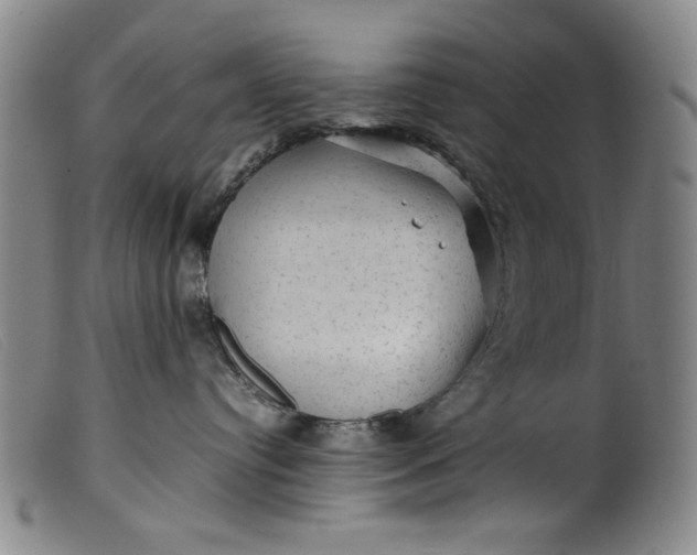 X0000099410384200805231610