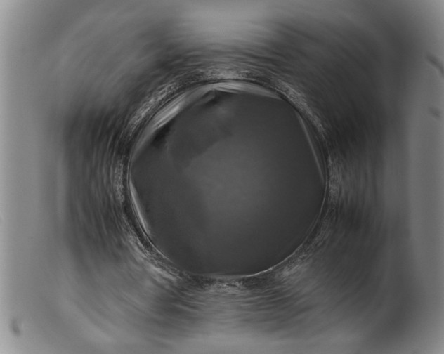 X0000099410386200805231610