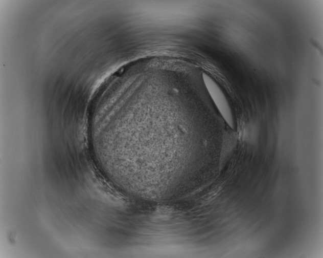 X0000099410388200805231610