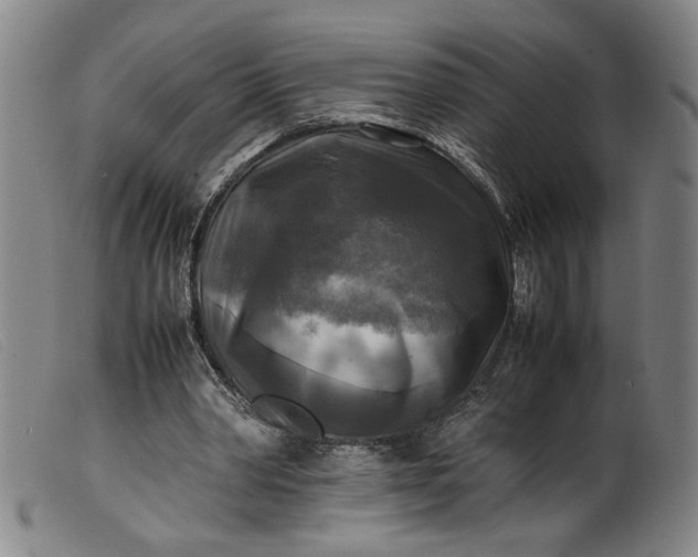 X0000099410390200805231610