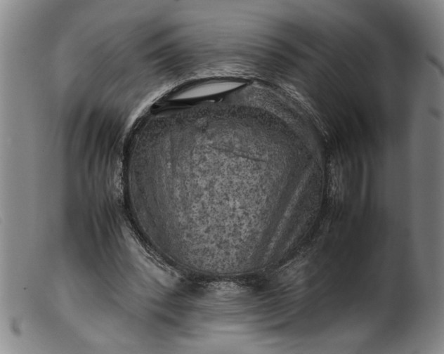 X0000099410392200805231609