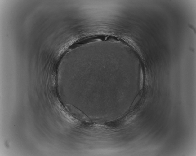 X0000099410393200805231609