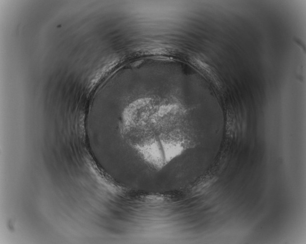 X0000099410394200805231609