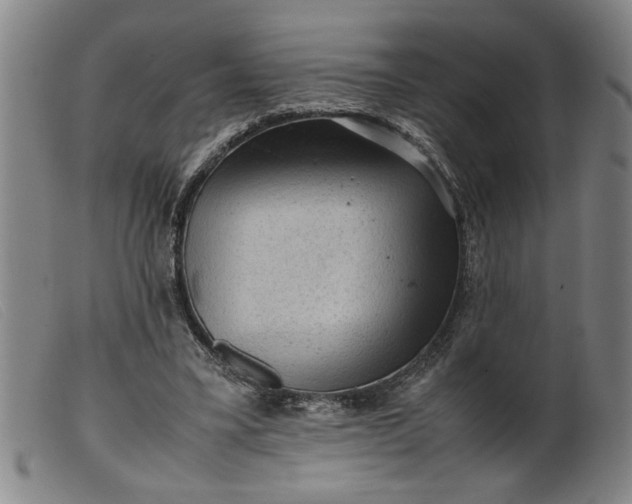 X0000099410395200805231609