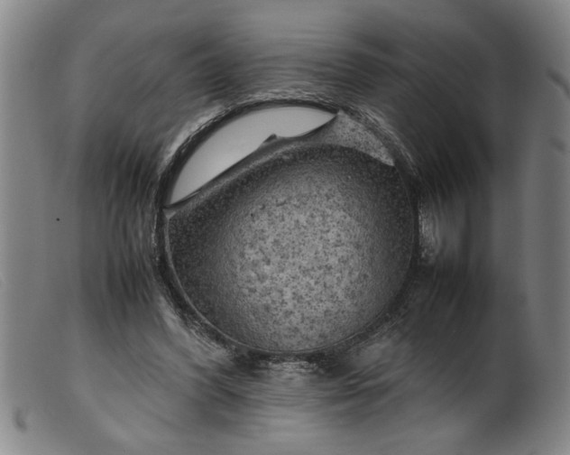 X0000099410396200805231609