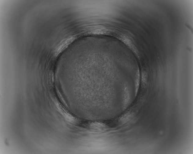 X0000099410397200805231609