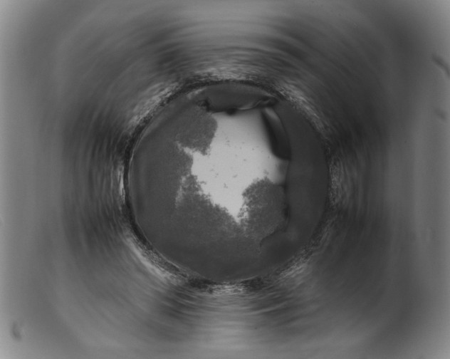 X0000099410398200805231609