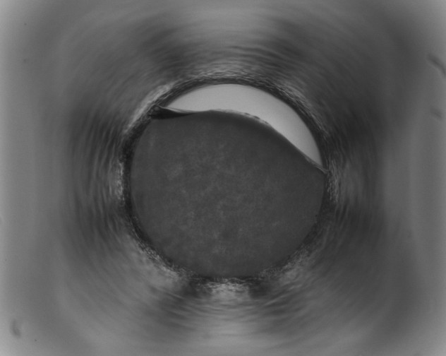 X0000099410400200805231609