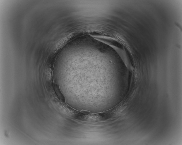 X0000099410401200805231609