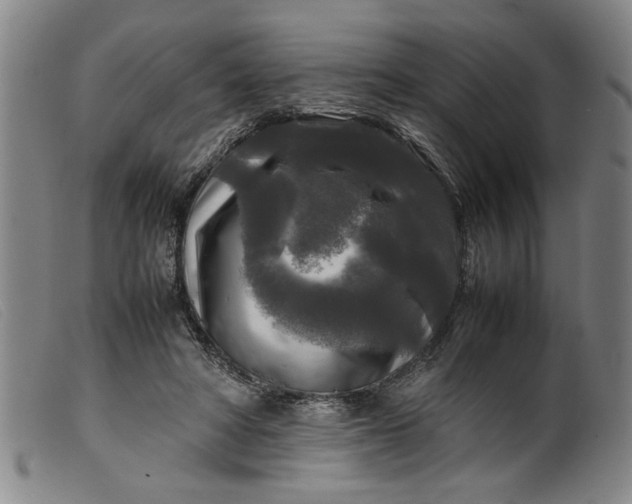 X0000099410402200805231609