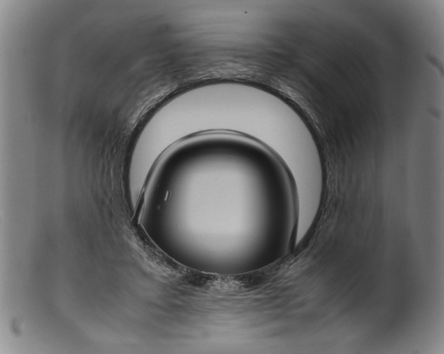 X0000099410403200805231609