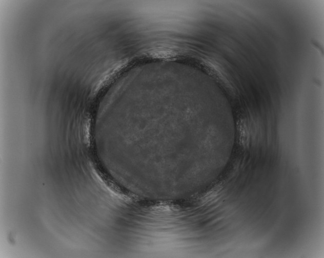 X0000099410404200805231609