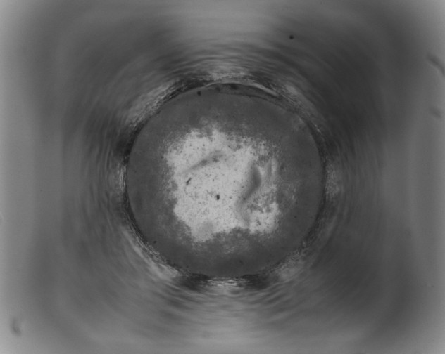 X0000099410405200805231609