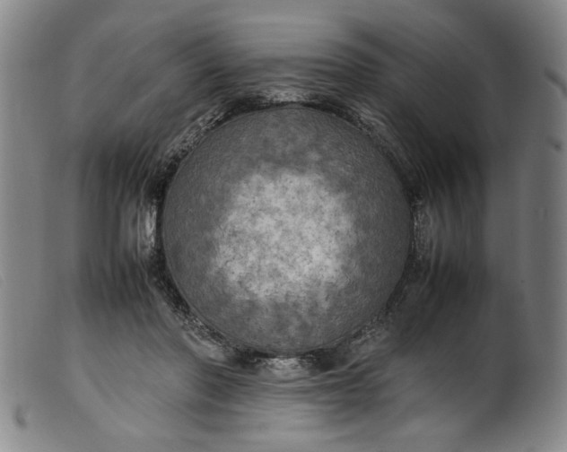 X0000099410406200805231609