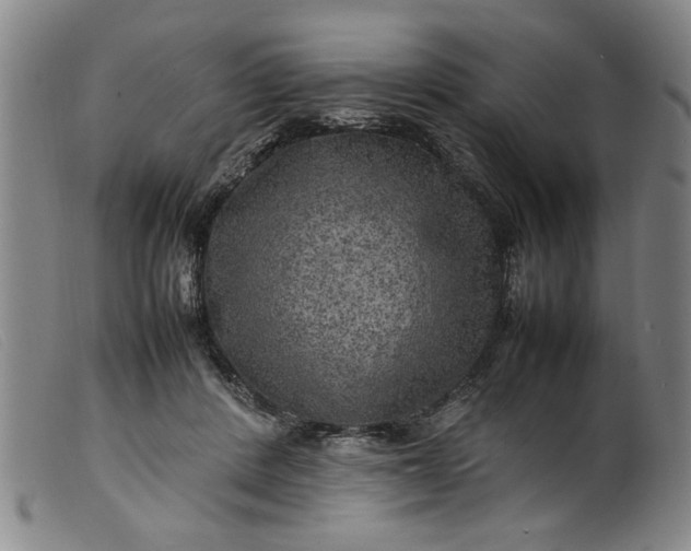 X0000099410408200805231609