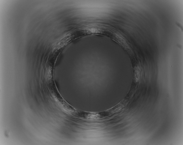 X0000099410410200805231609