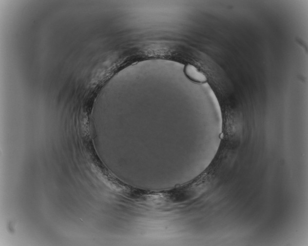 X0000099410411200805231609