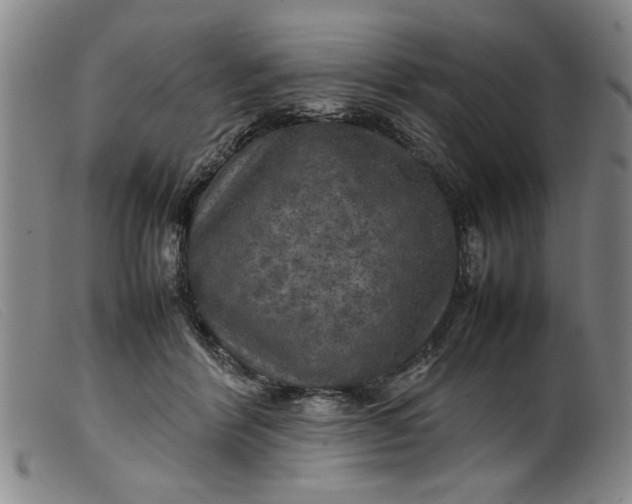 X0000099410412200805231609