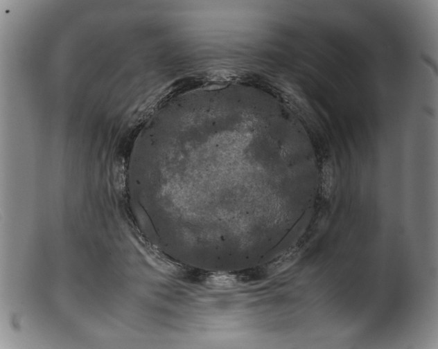 X0000099410413200805231609