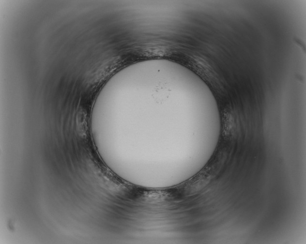 X0000099410414200805231609