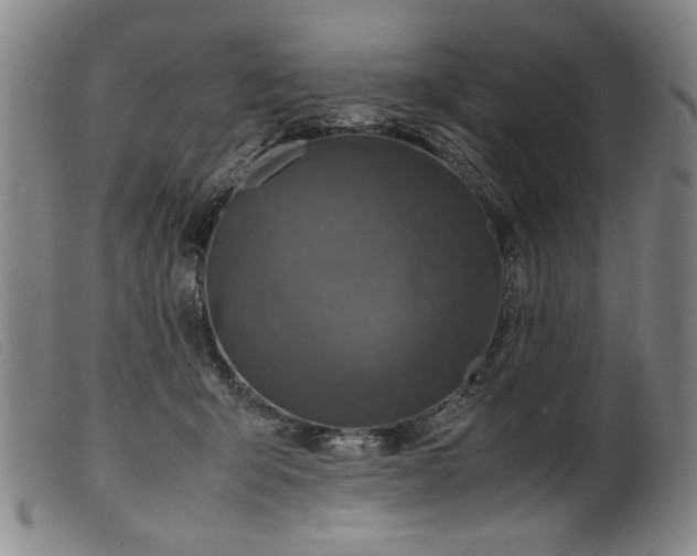 X0000099410415200805231609