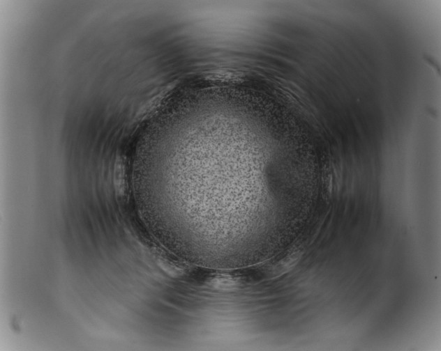 X0000099410416200805231609