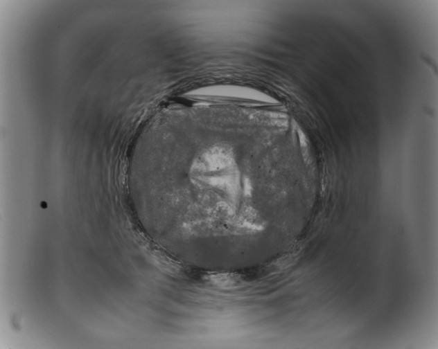 X0000099410417200805231609