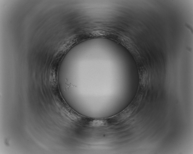 X0000099410418200805231609