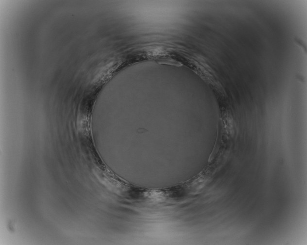 X0000099410419200805231609