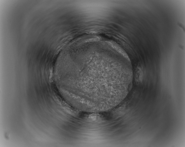 X0000099410420200805231609