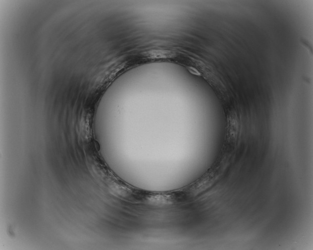 X0000099410422200805231609