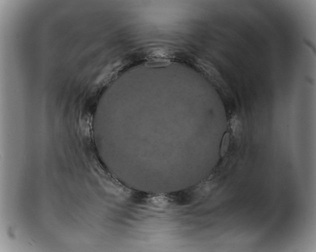 X0000099410423200805231609