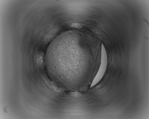 X0000099410424200805231609