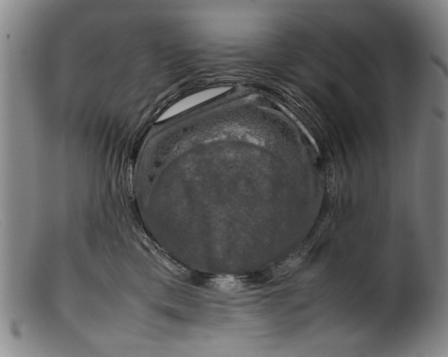 X0000099410425200805231609