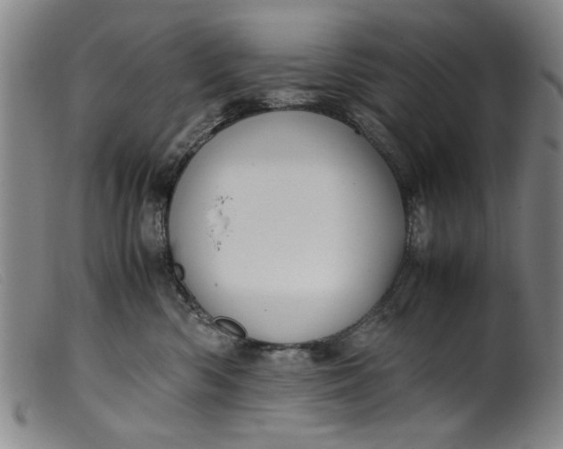 X0000099410426200805231609