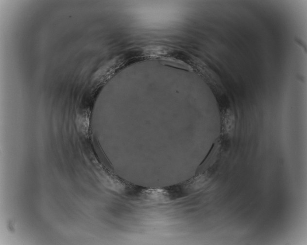 X0000099410427200805231609