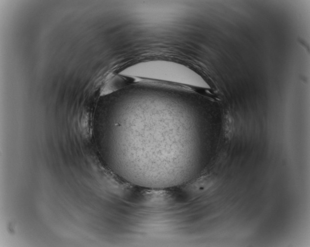 X0000099410428200805231609