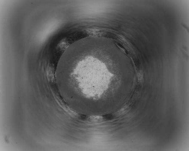 X0000099410429200805231609