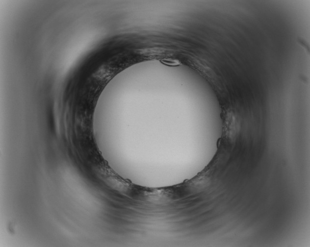 X0000099410430200805231609