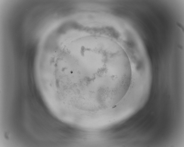 X0000099410431200805231609