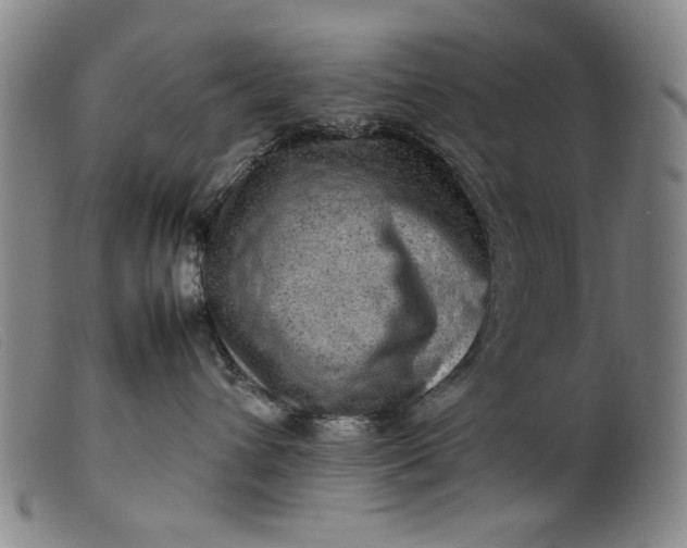 X0000099410432200805231609