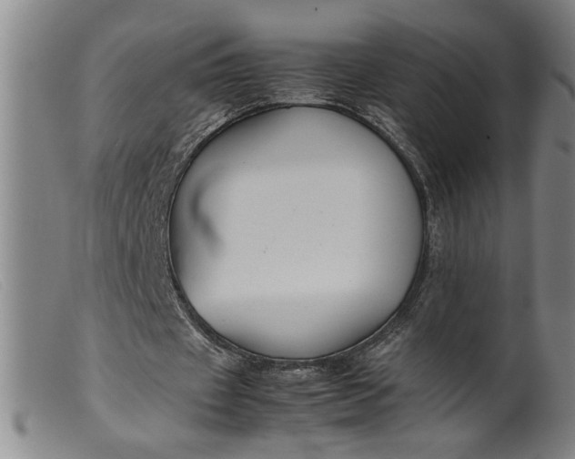 X0000099410433200805231608